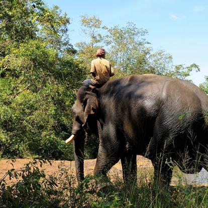 Voyage au Cambodge - Le Cambodge Authentique et ses Incontournables